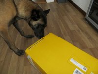 Paket1.jpg