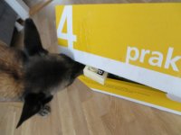 Paket3.jpg