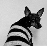 22985d1330346427-abstimmung-hundi-ch-fotocontest-februar-schwarz-weiss-pelin-mit-kiba.jpg