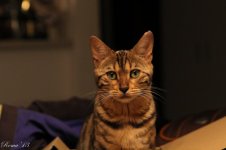 IMG_6272.jpg