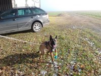 2013-12-15 13.05.16.jpg