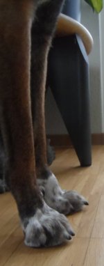 SAM_3124.jpg