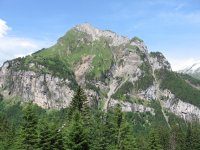 IMG_0865.jpg