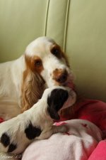 IMG_7863.jpg