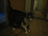 IMG_6918.jpg