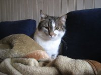 IMG_6970.jpg