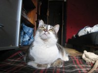 IMG_7031.jpg
