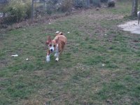 PR017377.jpg