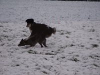 Bild 186.jpg1.jpg