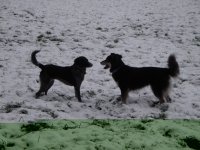 Bild 188.jpg1.jpg