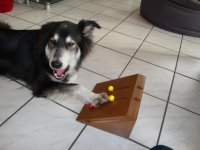 Bild 193.jpg1.jpg