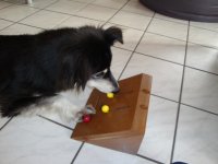 Bild 194.jpg1.jpg