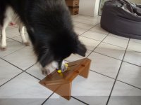 Bild 196.jpg1.jpg