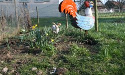 IMG_2639.jpg