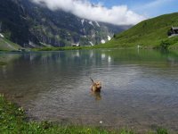 Trübsee 1.7.14 059.JPG