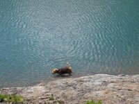 Trübsee 1.7.14 055.JPG