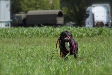 IMG_7161.JPG