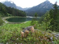 Obersee 19.8.2014 045.JPG