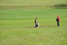 ImageUploadedByHaustierForum1409165169.886310.jpg
