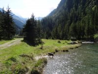 Reise 18.9.14 010.JPG