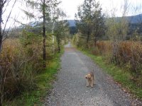 Reise 14.10.14 005.JPG