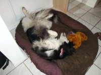 Bild 228.jpg1.jpg