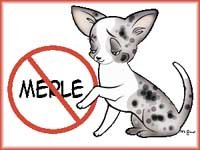 NoMerleLogo.jpg