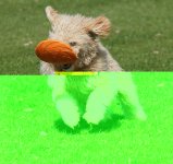 DSC04410.jpg