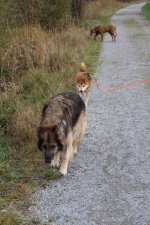 IMG_3875.JPG