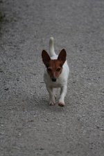 IMG_3885.JPG