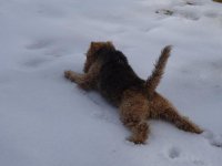 Chris 2014 018.JPG
