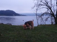 Chris 2014 017.JPG