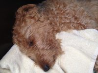 Chris 3.12. 2014 N 043.JPG