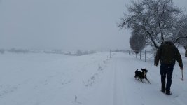20141227_105021.jpg