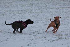 IMG_9063.JPG