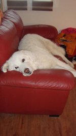 DSC02784.JPG