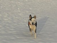 20150125_161245.jpg