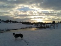 20150125_162919.jpg