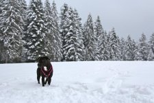 IMG_9695.JPG