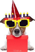 hunde-0051.gif