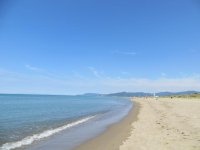 IMG_0529.jpg