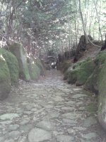 20150624_192211.jpg