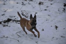 DSC_0086.jpg