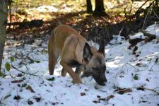 DSC_0076.jpg