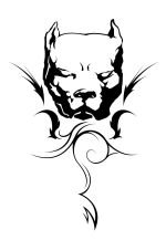 klein2.jpg