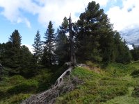Männlichen 9.9.15 055.JPG