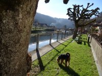 Freiberge 12.11.15 011.JPG