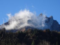 Morgenspaziergang Schwendelberg 18.11.2015 015.JPG