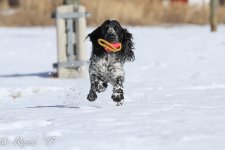 20151213-IMG_3987.jpg