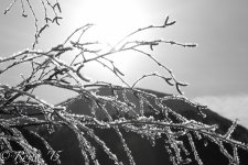 20151213-IMG_4020.jpg